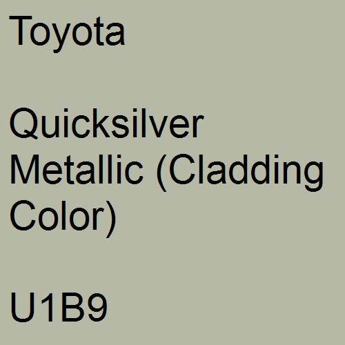 Toyota, Quicksilver Metallic (Cladding Color), U1B9.
